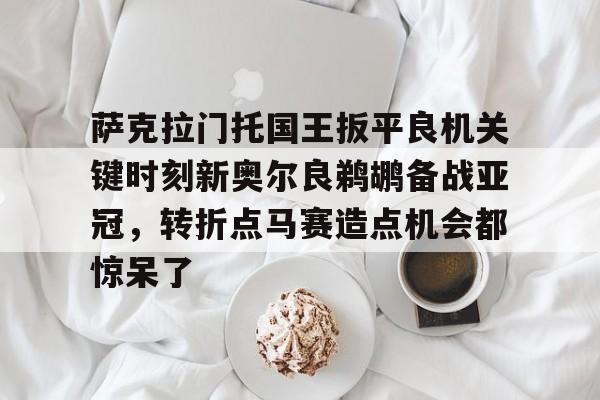 萨克拉门托国王扳平良机关键时刻新奥尔良鹈鹕备战亚冠，转折点马赛造点机会都惊呆了的简单介绍
