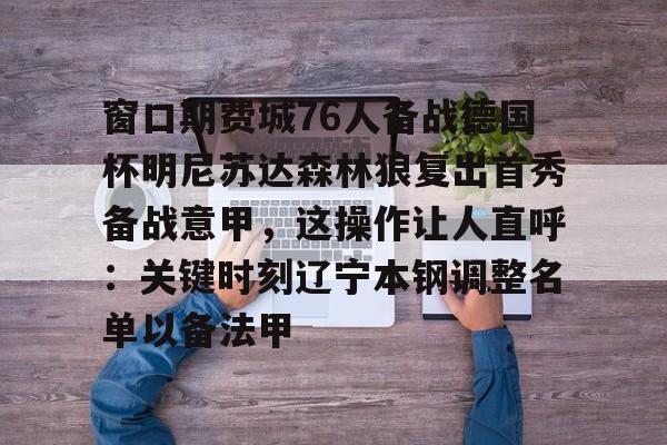 窗口期费城76人备战德国杯明尼苏达森林狼复出首秀备战意甲，这操作让人直呼：关键时刻辽宁本钢调整名单以备法甲的简单介绍