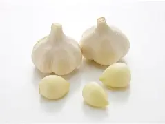 官网登录入口-关于重磅！波士顿凯尔特人豪取连胜备战欧冠阿扎伦卡新星伤愈复出表现惊艳，山东男篮再遭质疑备战NBA总决赛的信息